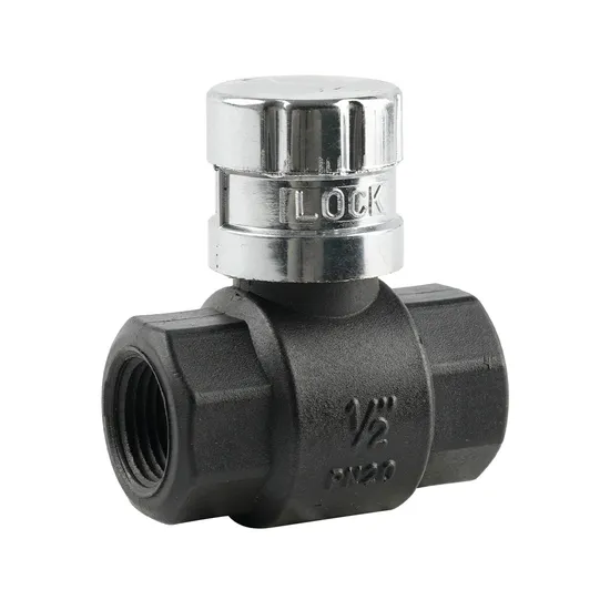 High-Quality Bmag OEM Magnetic Lock Nylon Ball Valve for Water Meter
